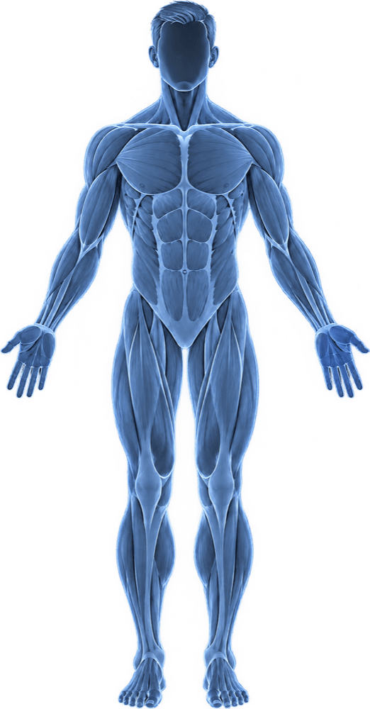 Body silhouette with injection sites